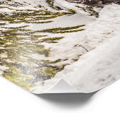 Bison (Bison bison) - Buffalo - Schnee - Gelbstein Fotodruck (Ecke)