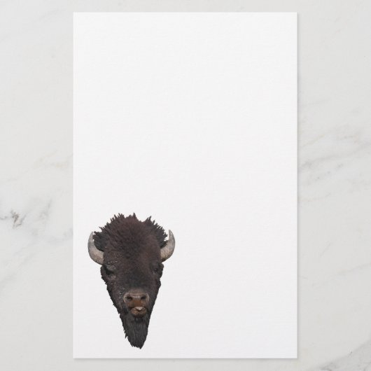 Bison Briefpapier (Vorderseite)