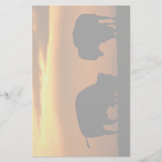 Bison Briefpapier (Vorderseite)