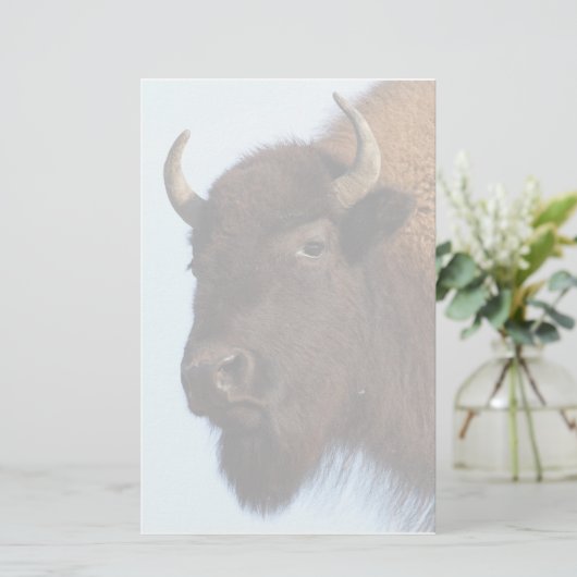 Bison Briefpapier (Stehend Vorderseite)