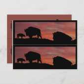 Bison-Buchmarker Postkarte (Vorne/Hinten)