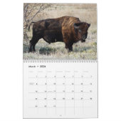 Bison Buffalo 2025 Kalender (Mär 2026)