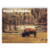 Bison Buffalo 2025 Kalender (Titelbild)