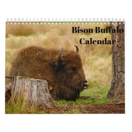 Bison Buffalo 2026 Kalender (Titelbild)
