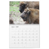 Bison Buffalo 2026 Kalender (Mär 2027)