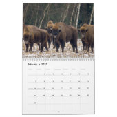 Bison Buffalo 2026 Kalender (Feb 2027)