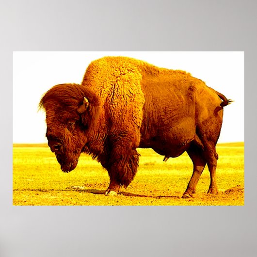 Bison Buffalo American Art Poster (Vorne)