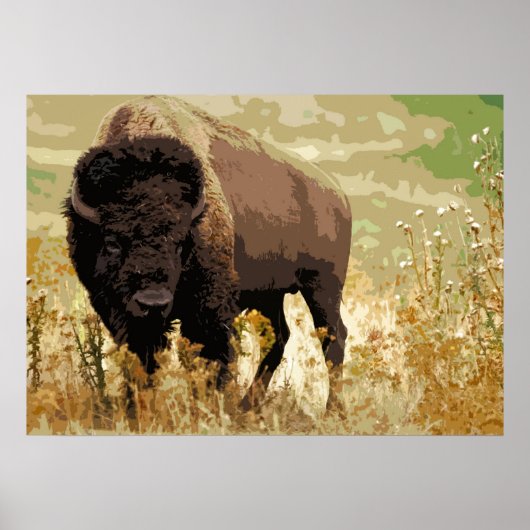 Bison Buffalo American Pop Art Poster (Vorne)