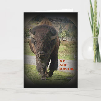 Bison Buffalo Animal Wir bewegen Karte