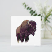 Bison Buffalo Card (Stehend Vorderseite)