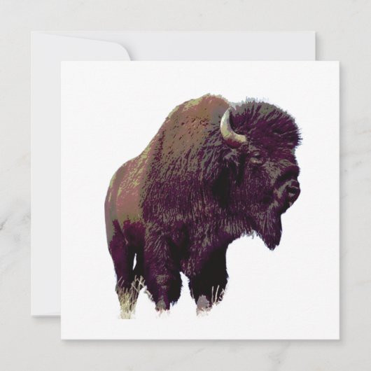 Bison Buffalo Card (Vorderseite)
