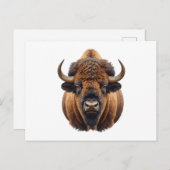 Bison / Buffalo Feiertagspostkarte (Vorne/Hinten)