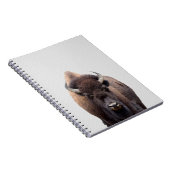 Bison Buffalo Foto 135 Notizblock (Rechte Seite)