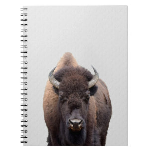 Bison Buffalo Foto 135 Notizblock