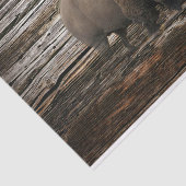 Bison Buffalo Holzuntergrund Seidenpapier (Ausschnitt)