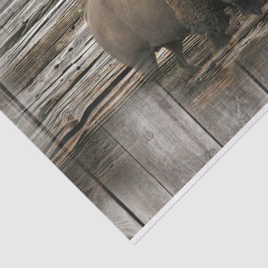 Bison Buffalo Holzuntergrund Seidenpapier (Ausschnitt)