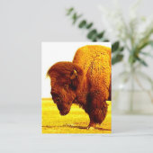 Bison/Buffalo-Kopfarbeit Postkarte (Stehend Vorderseite)