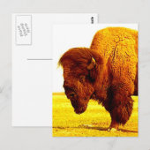 Bison/Buffalo-Kopfarbeit Postkarte (Vorne/Hinten)