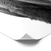 Bison Buffalo Modernes Portrait Schwarz-weiß Poster (Ecke)