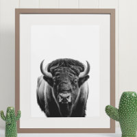 Bison Buffalo Modernes Portrait Schwarz-weiß