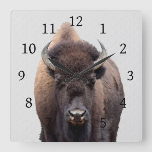Bison Buffalo Photo 135 Quadratische Wanduhr