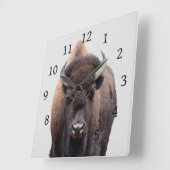 Bison Buffalo Photo 135 Quadratische Wanduhr (Winkel)