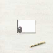 Bison Buffalo Pinacoteca Casa Serodine Post-it Klebezettel (Auf Schreibtisch)