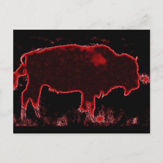Bison/Buffalo Postkarte (Vorderseite)