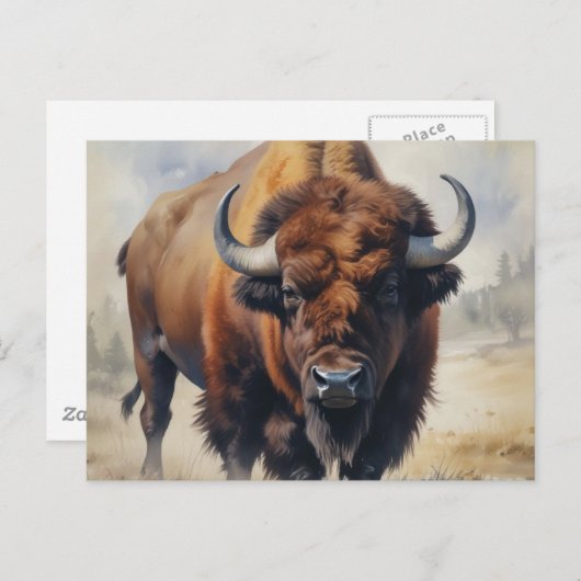 Bison/Buffalo Postkarte (Vorne/Hinten)
