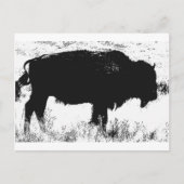 Bison - Buffalo Postkarte (Vorderseite)