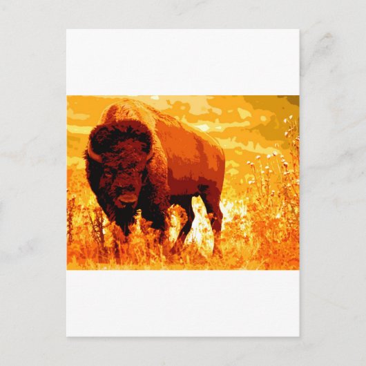 Bison/Buffalo Postkarte (Vorderseite)