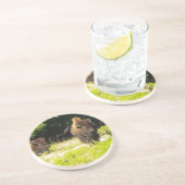 Bison, Buffalo-Untersetzer Untersetzer (Seite)