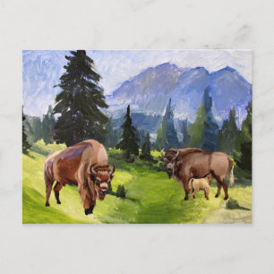 Bison Buffalo Wasserfarbenwelt Landschaft Feiertagspostkarte