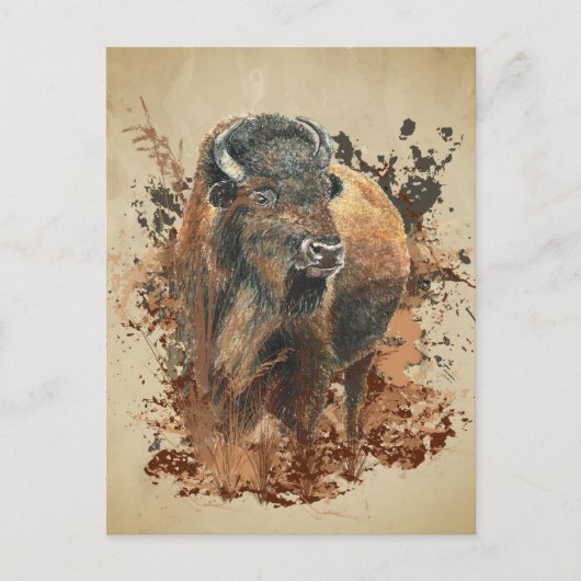 Bison Buffalo Wilhelm Tell Postkarte (Vorderseite)