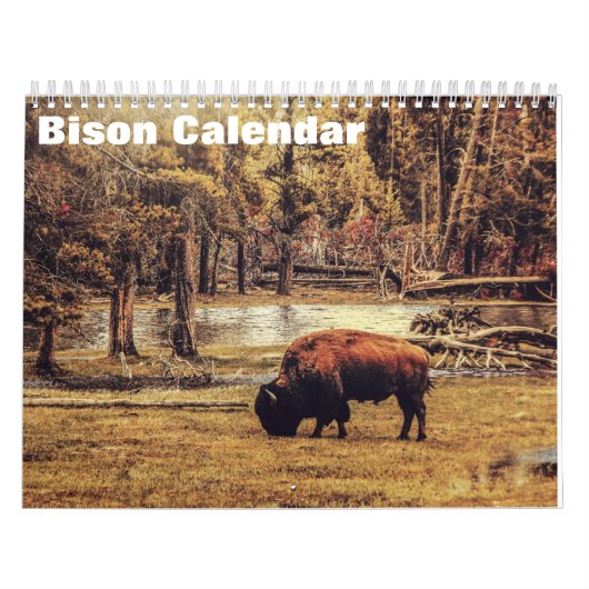 Bison Büffel 2027 Kalender (Titelbild)
