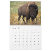 Bison Büffel 2027 Kalender (Jan 2027)