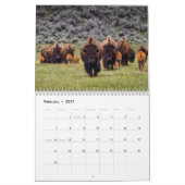 Bison Büffel 2027 Kalender (Feb 2027)