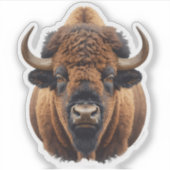 Bison / Büffel Aufkleber (Vorderseite)