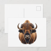 Bison / Büffel Feiertagspostkarte (Vorne/Hinten)