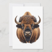 Bison / Büffel Karte (Vorderseite)