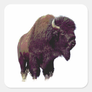 Bison Büffel Karte Quadratischer Aufkleber