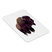 Bison Büffel  Magnet (Rechte Seite)