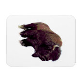 Bison Büffel  Magnet (Horizontal)
