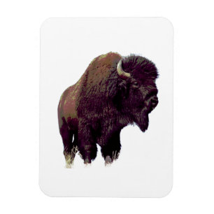 Bison Büffel Magnet