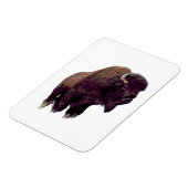 Bison Büffel  Magnet (Linke Seite)