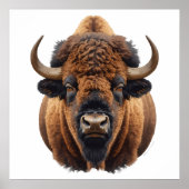 Bison / Büffel Poster (Vorne)