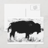 Bison - Büffel Postkarte (Vorne/Hinten)