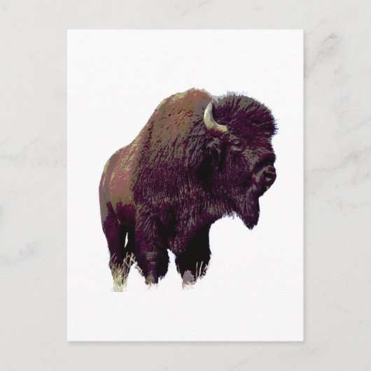 Bison Büffel Postkarte (Vorderseite)