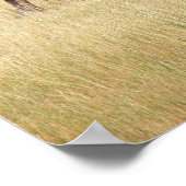 Bison Bull im Yellowstone-Nationalpark Poster (Ecke)