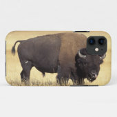 Bison Bull in Yellowstone National Case-Mate iPhone Hülle (Rückseite (Horizontal))